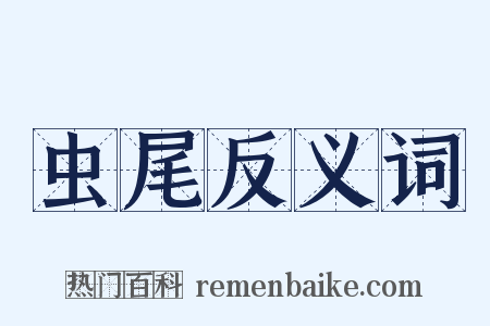 虫尾反义词是什么意思的图片